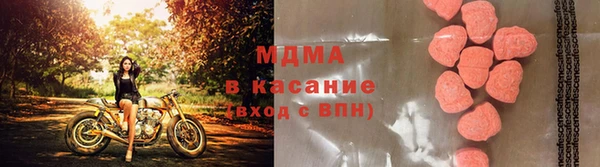 ECSTASY Ельня