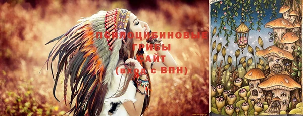 трава Елизово