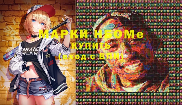 ECSTASY Ельня