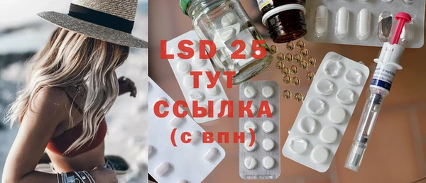 ECSTASY Ельня