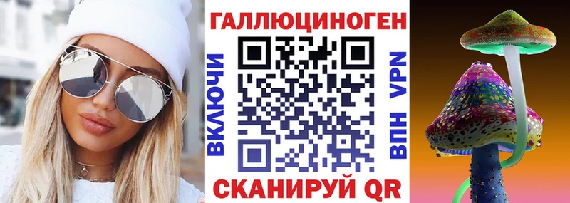 Купить  Грайворон  Псилоцибиновые грибы прущие грибы 